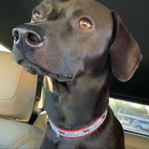 Meet your Posher, Tajee